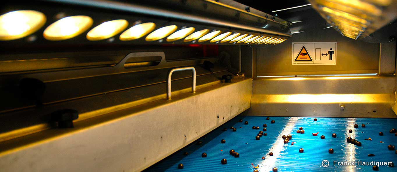 Un tri sur mesure…