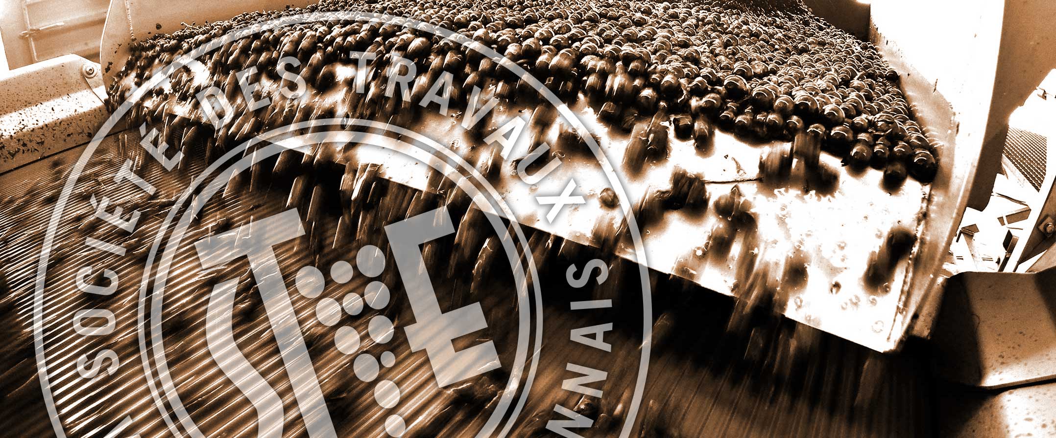 2015 un Millésime Lumineux…