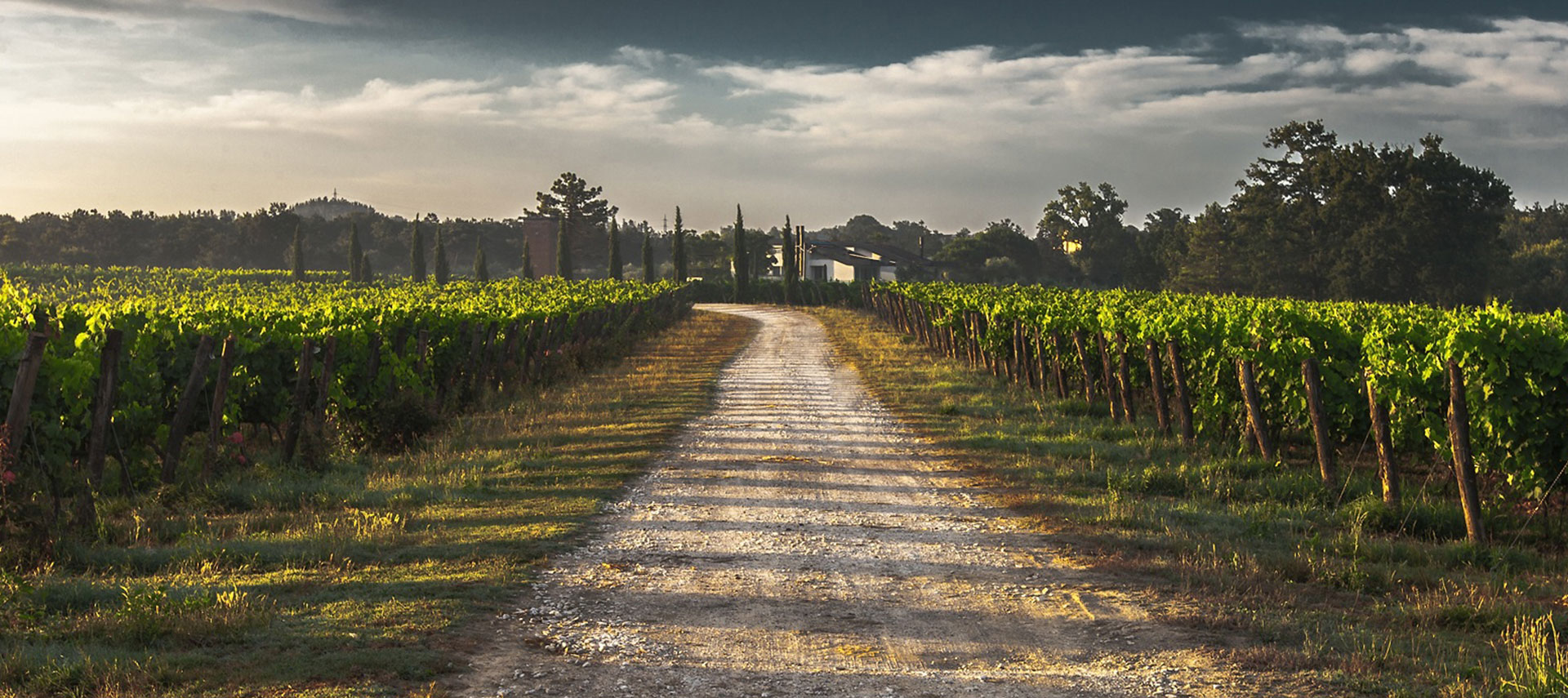 « L’omerta, c’est sur ce qui est fait par le vignoble pour l’environnement »