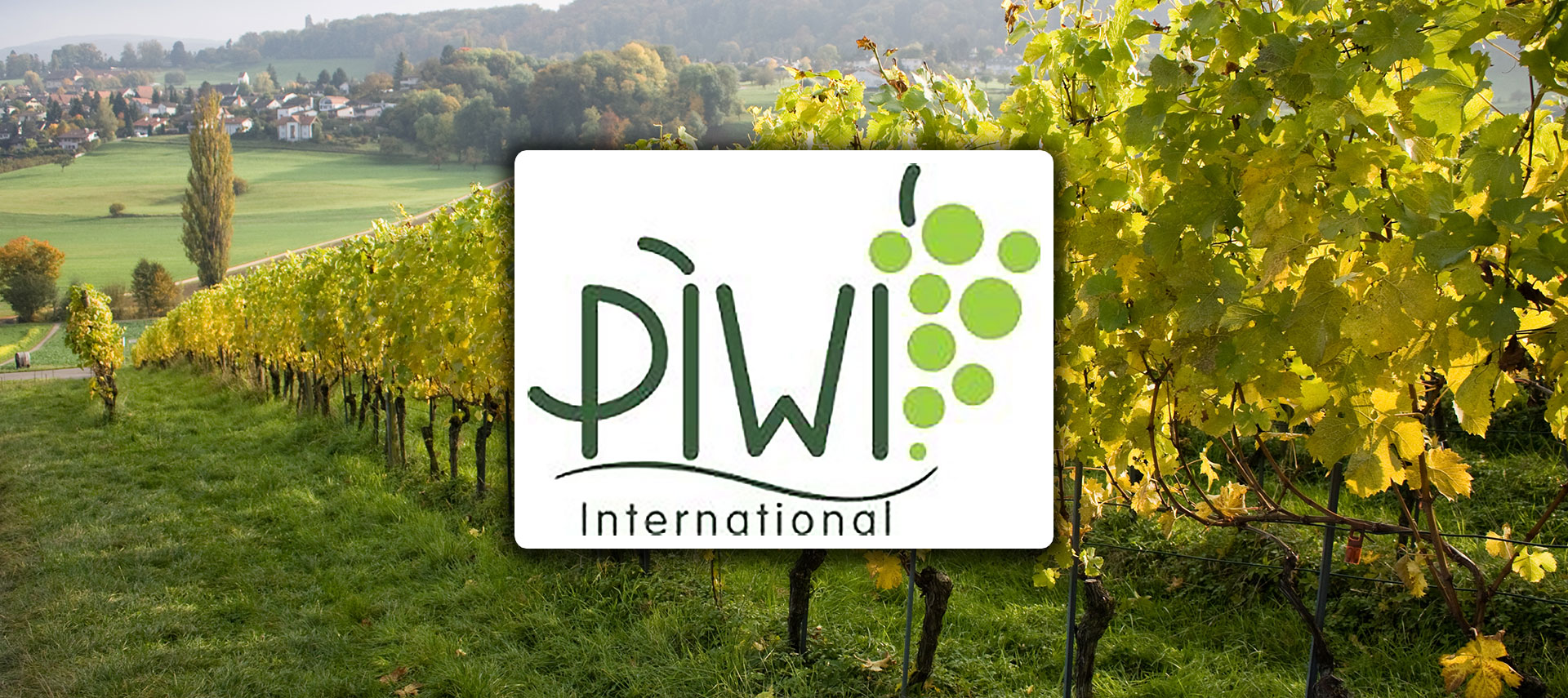 Piwi France