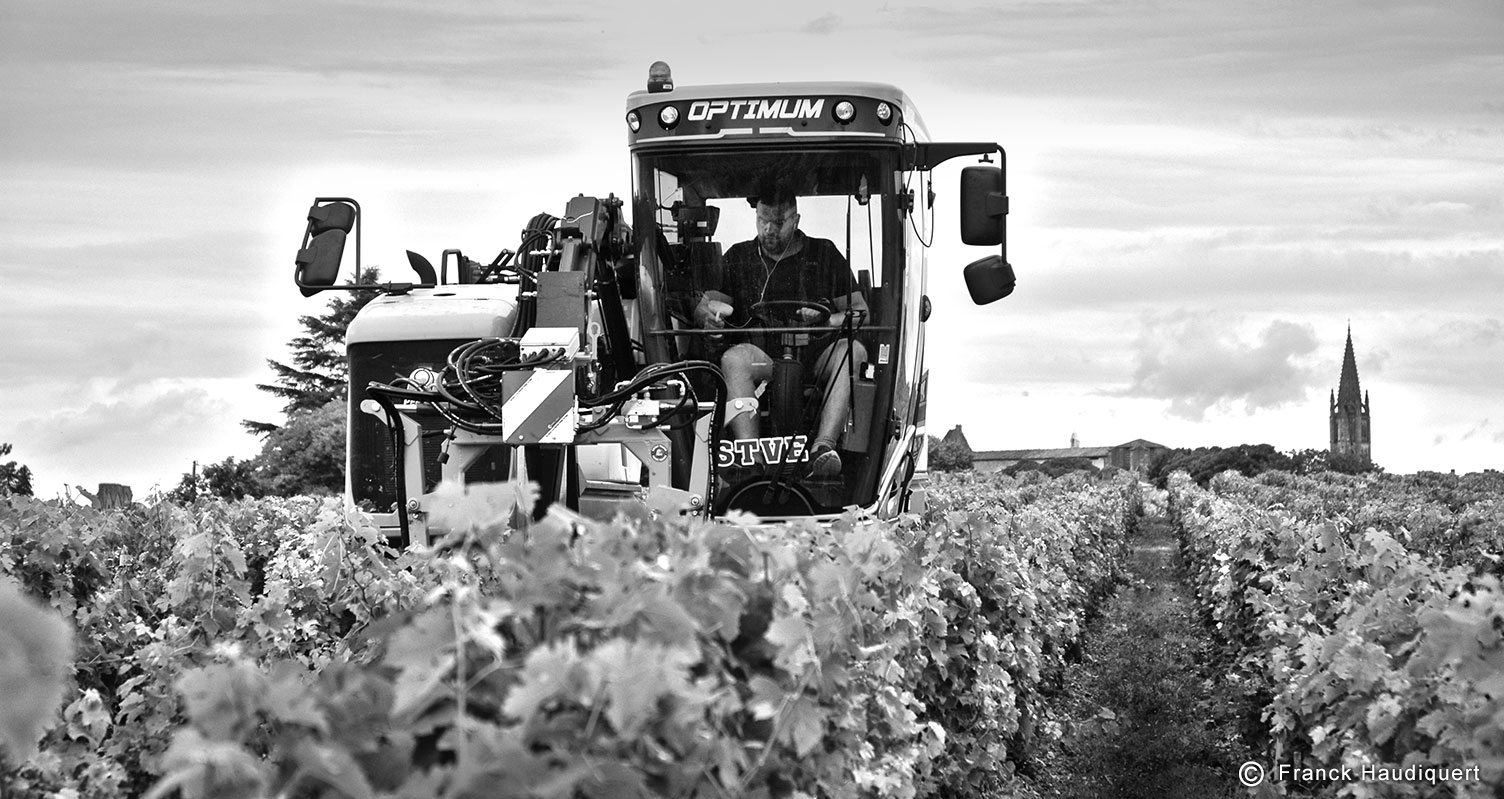 Effeuillages ça continu