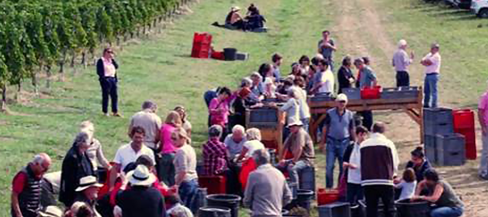 Les 500 vendangeurs