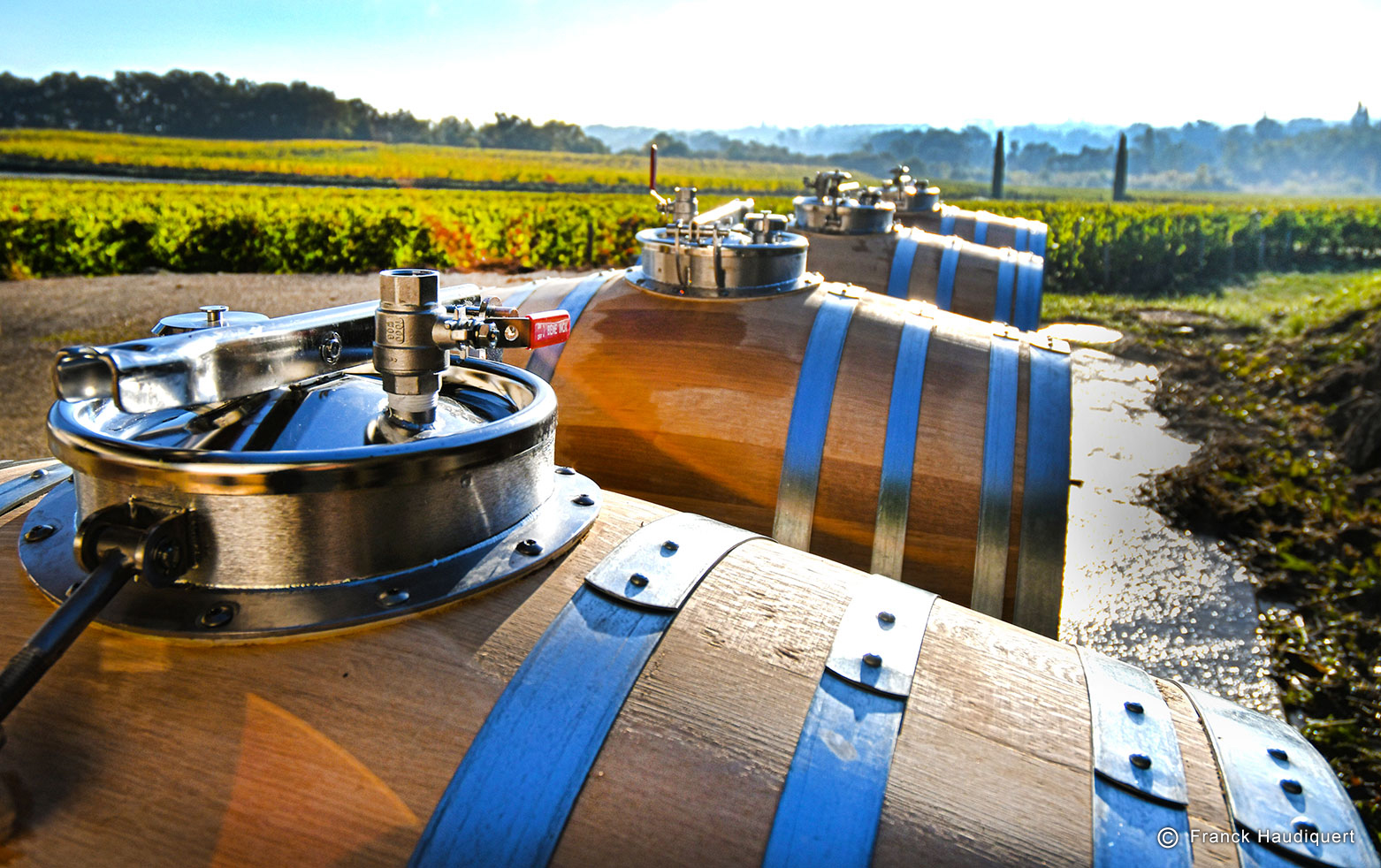 Bordeaux en retrait de 3% en 2016