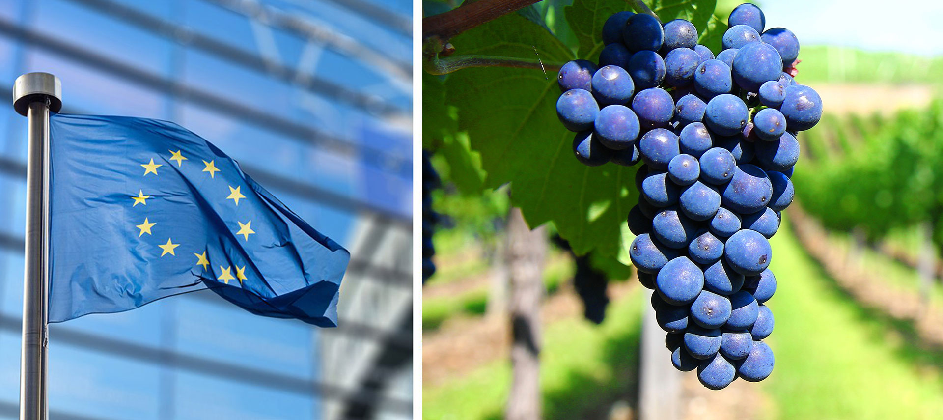 Subventions de l’UE