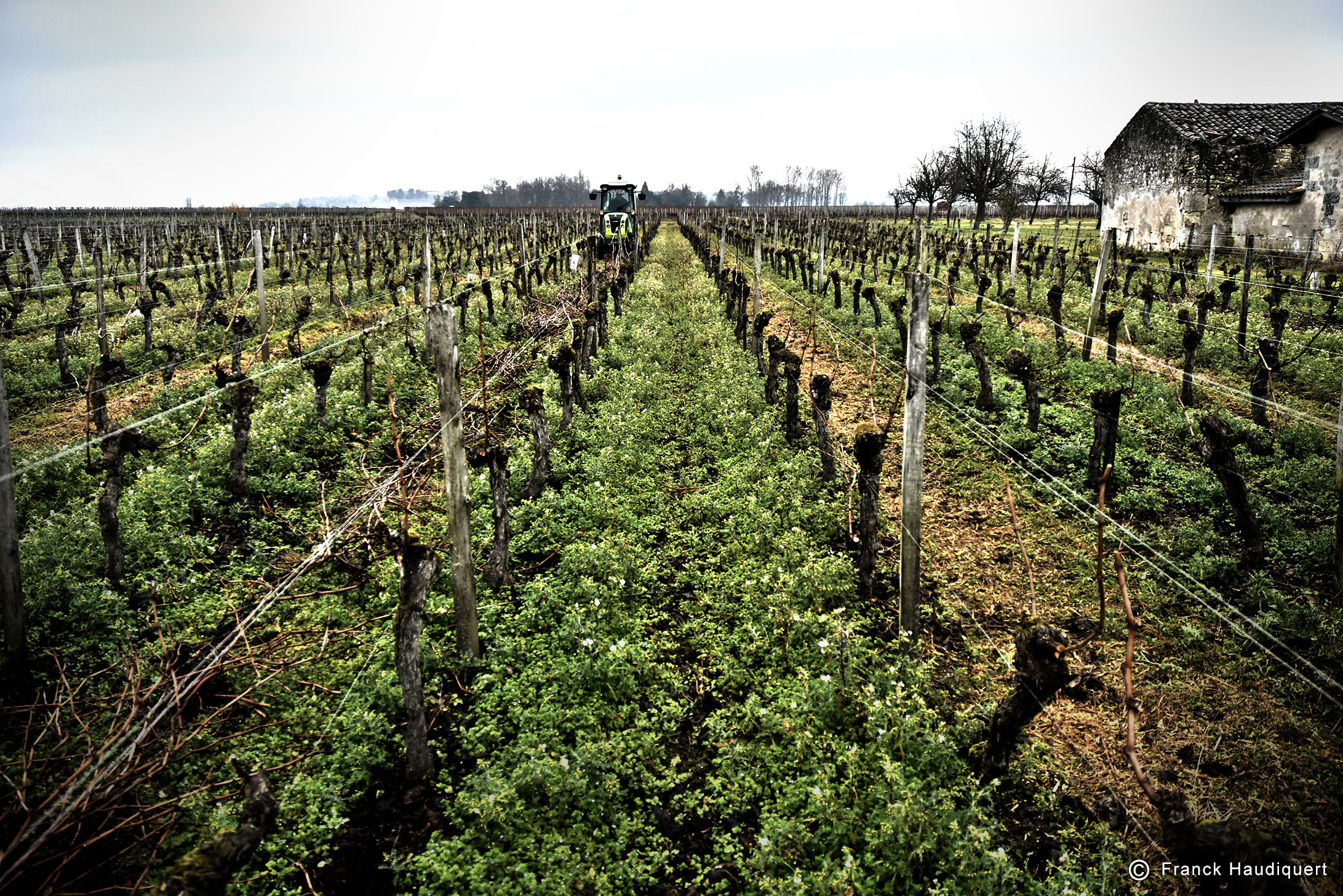 Broyage des sarments