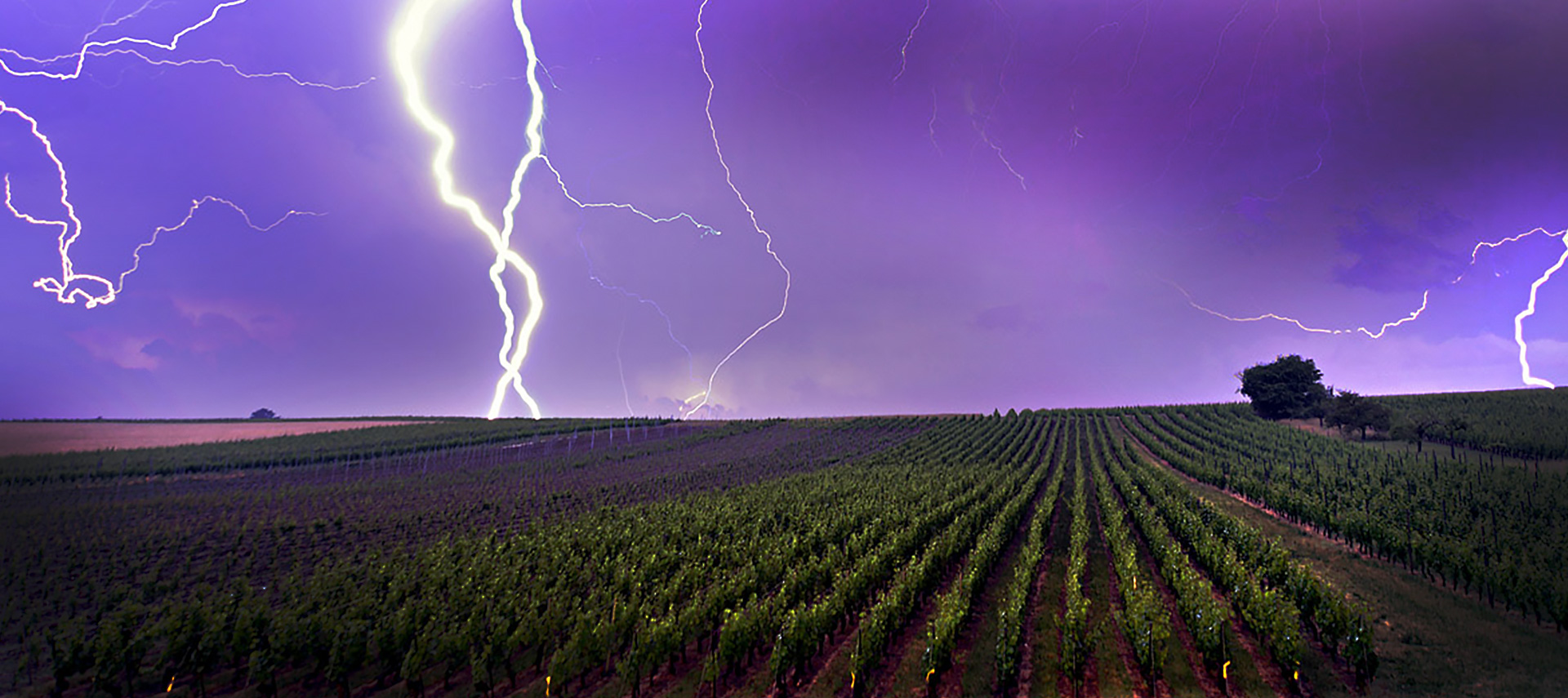 Parapluie anti-grêle.